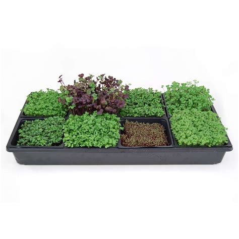 Hydroponic Sectional Microgreens Growing Kit Grow Micro Greens