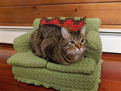 How To Make A Crocheted Couch For Your Kitty Cat Couch Cat Bed Cats