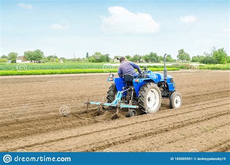 Farmer On A Tractor With A Cultivator Processes A Farm Field Soil