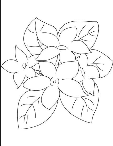 Sketsa Bunga Yang Dapat Membantu Belajar Menggambar Uprintid