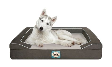 Premium Sealy Dog Bed Groupon Goods