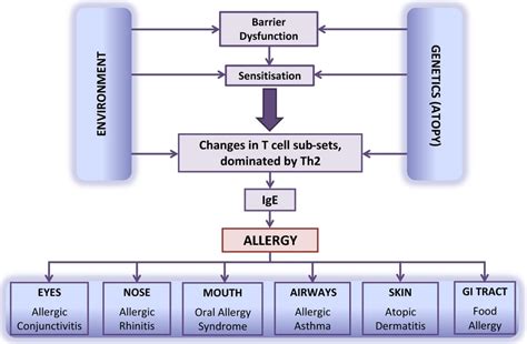 Genetic Risk Factors For The Development Of Allergic Disease Identified
