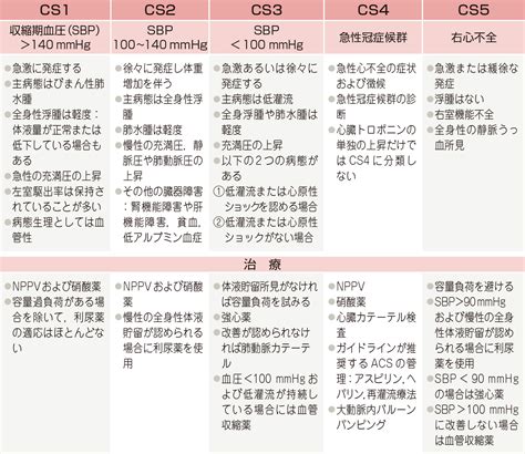 【制作陣】 原案・メインシナリオ・キャラクターデザイン：枢やな supported by square enix 開発. 急性心不全の鎮痛・鎮静管理｜看護roo!カンゴルー