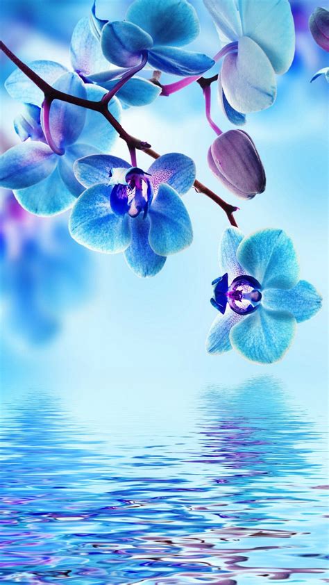 √ Flowers In Water Tumblr