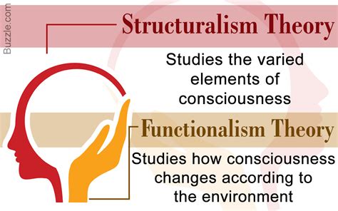 ️ Assumptions Of Structural Functionalism What Is An Example Of