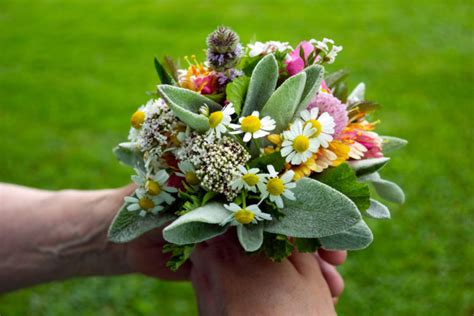 Posy Flower Meaning An Ancient Expression Of Love Floraqueen En
