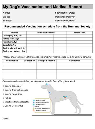 As of 7/1/16, dog licenses in the state of delaware will be valid for 1, 2 or 3 years from the date of purchase. Printable Dog Vaccination Record That are Vibrant | Roy Blog