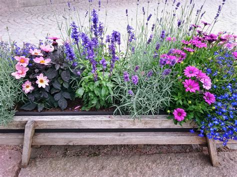 Container Grown Cottage Gardens Choosing Cottage Garden Plants For Pots