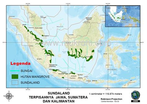 MANGROVE INDONESIA: Berkas fakta: Kekayaan nasional dalam ancaman