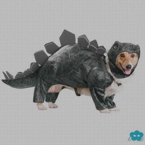 ⊛ Los 12 Mejores Disfraces De Dinosaurios Para Perros 【actualizado】