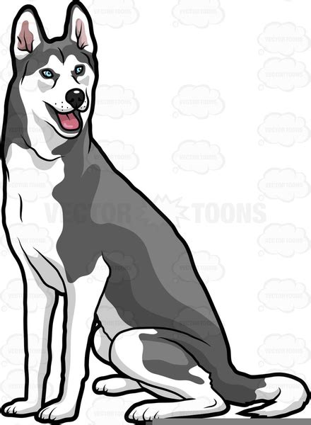Siberian Husky Clipart Free Free Images At Vector Clip