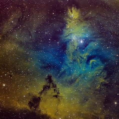 Christmas Tree Cluster And Cone Nebula Hubble Palette Flickr