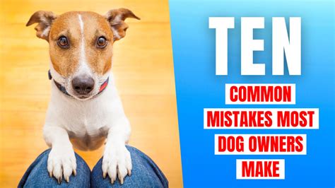 10 Common Mistakes Most Dog Owners Make