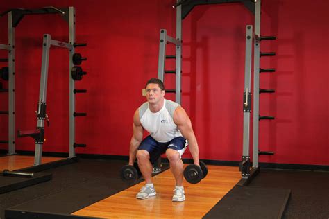 Dumbbell Squat Exercise Guide And Video
