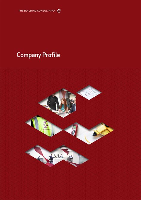Company Profile Overview By The Building Consultancy Issuu