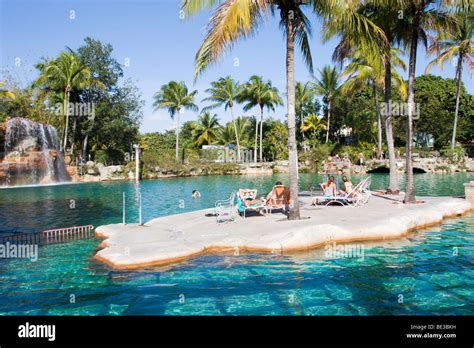 Swimming Pool Venetian Pools In Coral Gables Miami Florida Usa