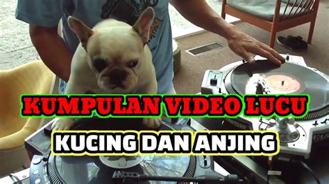 You can streaming and download for free here! Kumpulan Video Tingkah Lucu Kucing Dan Anjing #1 - YouTube