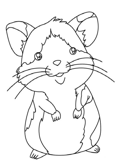 Hamster Para Colorear Dibujosparacoloreareu