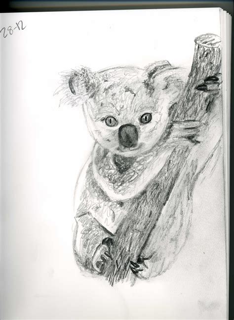 Koala Sketch By Godzgirl316 On Deviantart