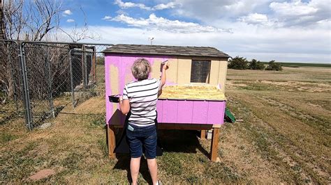 Shop thousands of chicken coops you'll love at wayfair Painting the Chicken Coop - YouTube