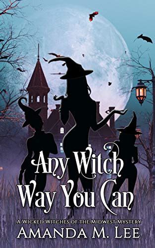 Any Witch Way You Can Wicked Witches Of The Midwest Book 1 EBook