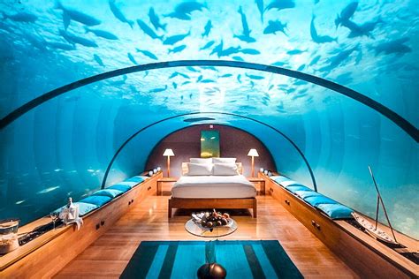 Unravel The Mystery Of Tripping In Jules Undersea Lodge Florida