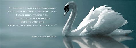 Quote About Swans Quotes About Love And Swans Quotesgram 115