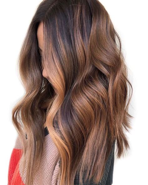 Brown Balayage With Caramel Money Pieces Hair Color Shades Hair Inspo
