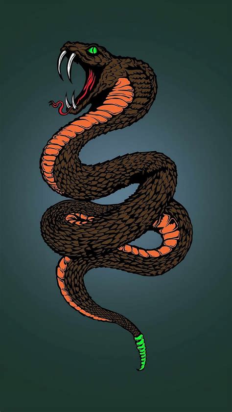 Cobra Snake Vector Art King Cobra Snake Hd Phone Wallpaper Peakpx