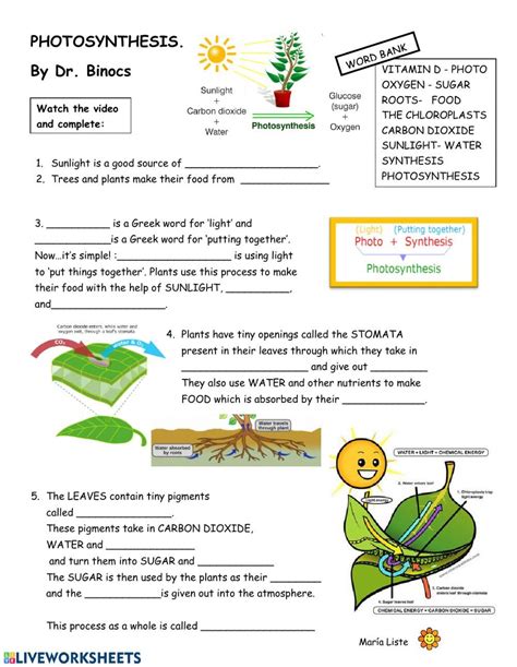 Science Lesson Plans Science Worksheets Science Activities Science