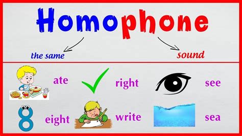 What Is A Homophone Confusing Words Homophones Phonics