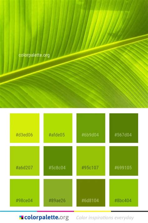 Green Screen Color Palette Warehouse Of Ideas