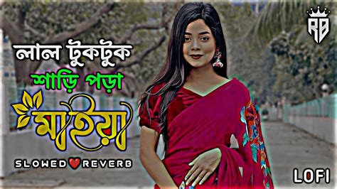 Lal Tuktuk Shari Pora Maiya Lofi লাল টুক টুক শাড়ি পড়া মাইয়া