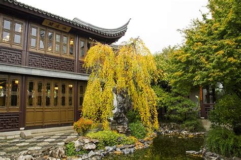 Migliaia di nuove immagini di alta qualità aggiunte ogni giorno. Photographing Oregon Lu San Chinese Gardens, Portland ...