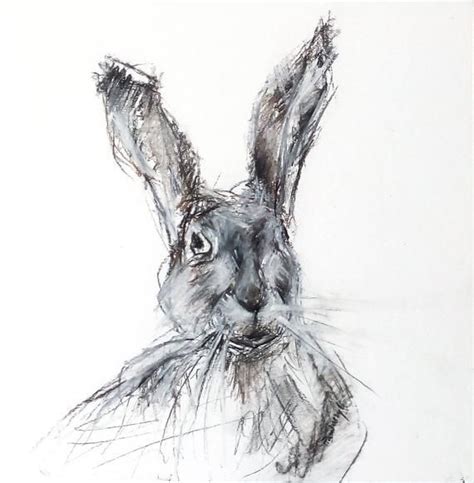 Original Sketch Of Hare Charcoal Drawing Original Drawing Etsy Hare