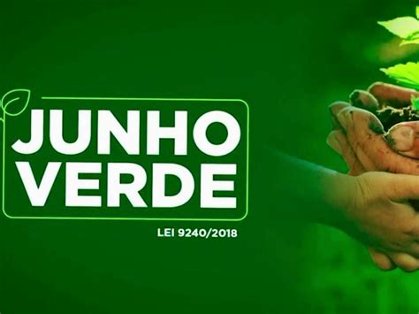 Senado Aprova Lei Que Cria A Campanha Junho Verde