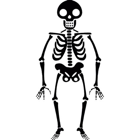 Skeleton clipart royalty free, Skeleton royalty free Transparent FREE for download on ...