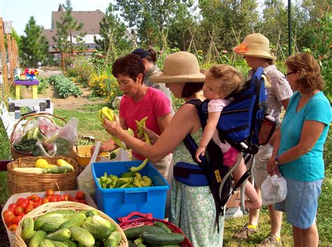 The Sharing Gardens Real People Doing Real Things