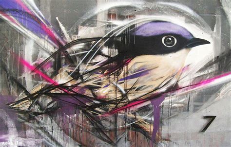 Impressive Graffiti Birds By A Young Brazilian Artist