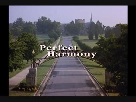 Perfect Harmony (1991)
