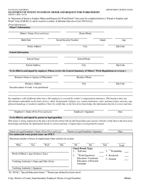 Work Permit 2020 Fill And Sign Printable Template Online Us Legal Forms
