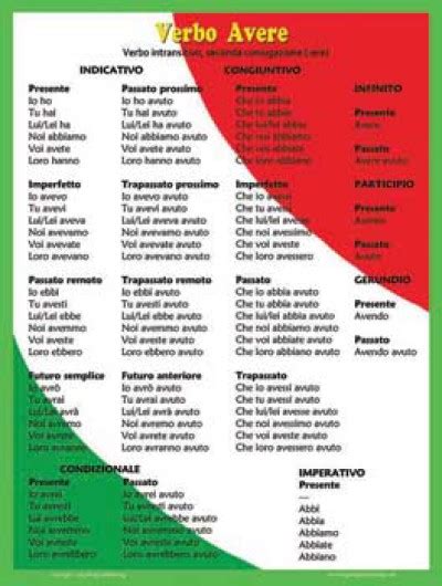 The Verb Avere In Italian - Verb Avere Poster - Italian Classroom Poster