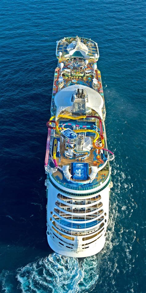 Navigator Of The Seas Calling All Thrill Seekers — Youre In For An