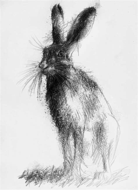 Hare Ready Artist Sean Briggs Producing A Sketch A Day Prints