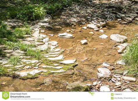Clear Flowing Rocky Creek Stock Image Image Of Natural 119983013