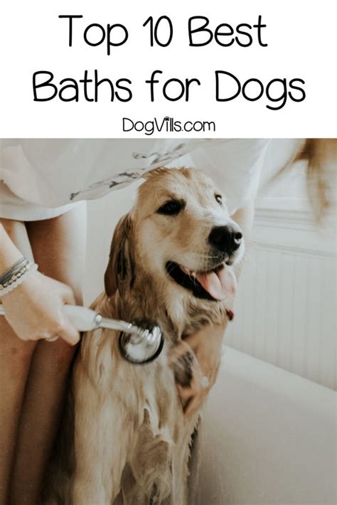Top 10 Best Baths For Dogs With Reviews Dogvills