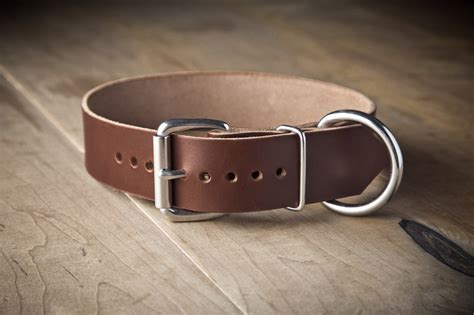 Best Leather Dog Collars Reviewed And Rated In 2022 Thegearhunt