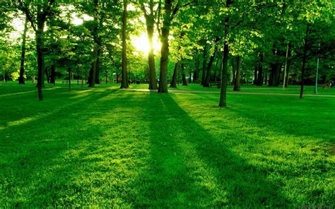 Nature Landscape Green Grass Wallpapers Hd Desktop And Mobile