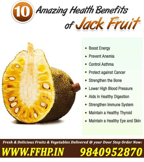 What Is Jackfruit Nutrition Thwais