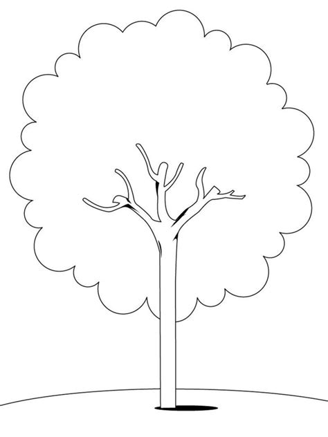 Ausmalbilder Zum Drucken Malvorlage Baum Kostenlos 4